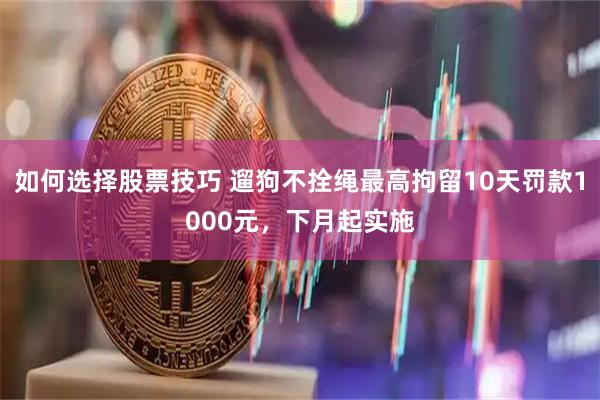 如何选择股票技巧 遛狗不拴绳最高拘留10天罚款1000元，下月起实施