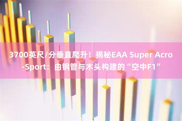3700英尺/分垂直爬升！揭秘EAA Super Acro-Sport：由钢管与木头构建的“空中F1”